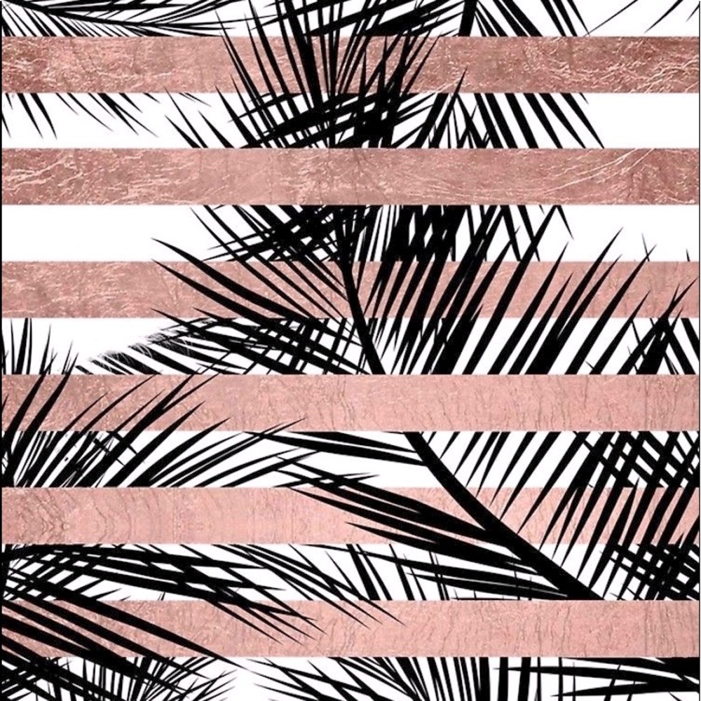 Meet your Posher, Dassi